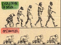 evolutio.jpg